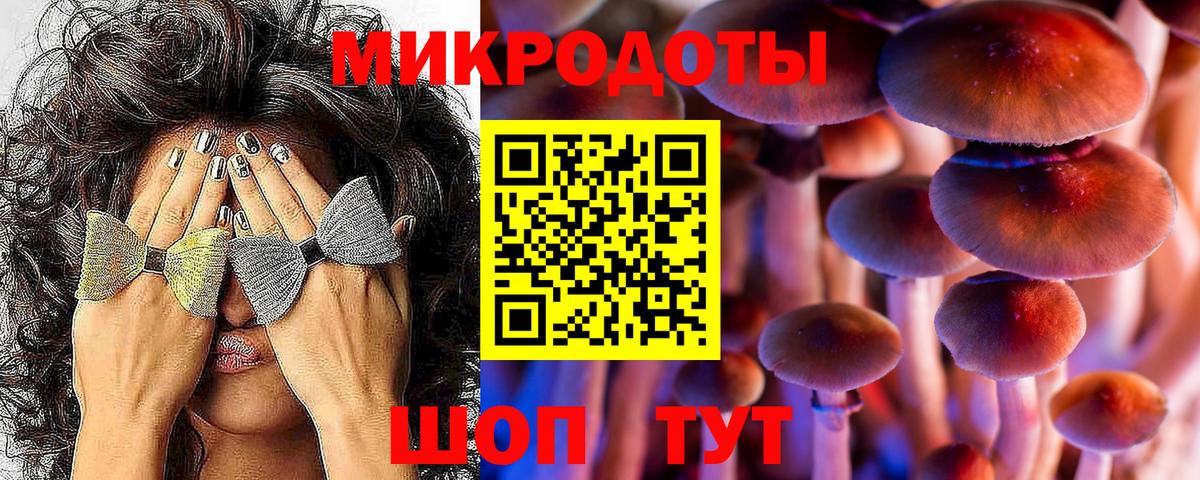 Псилоцибиновые грибы Psilocybine cubensis Гусев